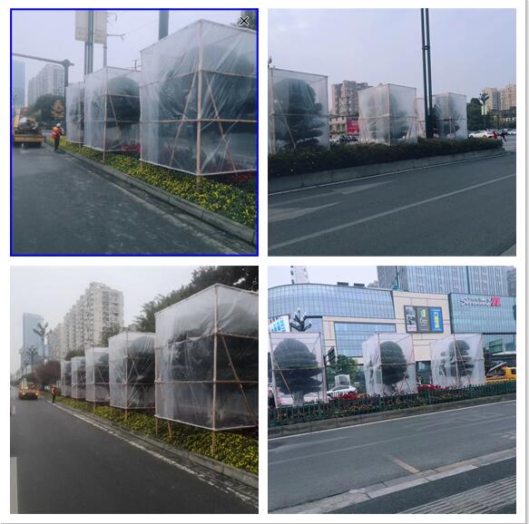 QQ截圖20221221103028.jpg